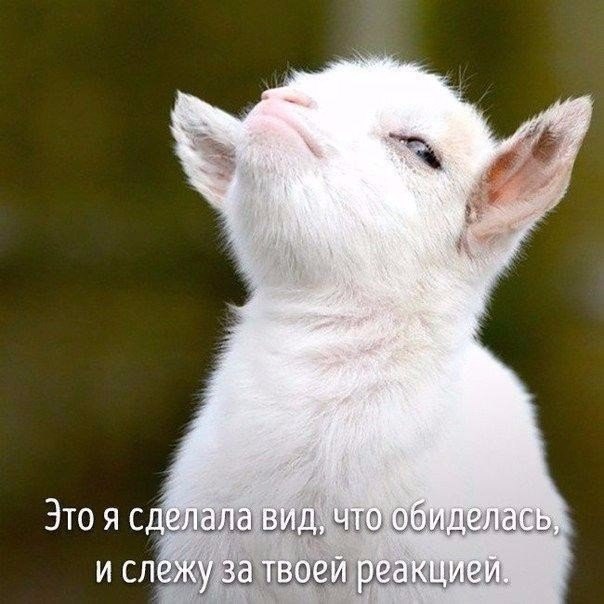,       - 8