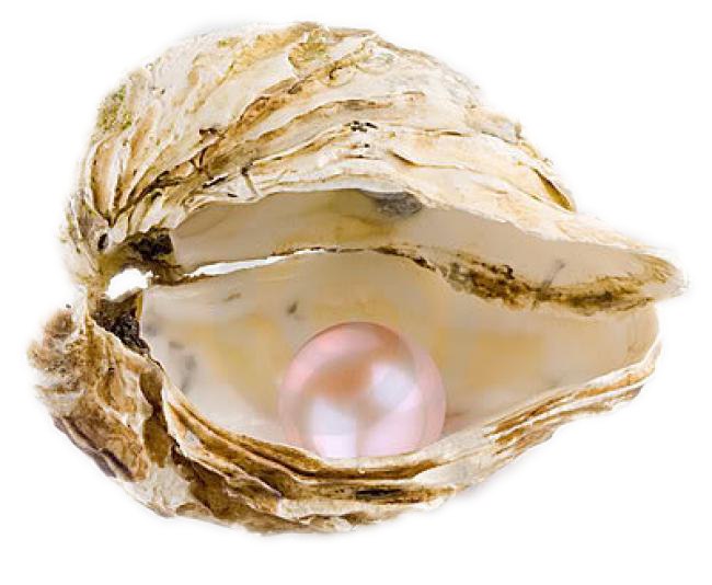 ,   - , ,     !