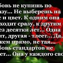 ���� ����, ����������, 72 ���� - ��������� 17 ������ 2016 � ������ ������ ��������