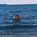 ���� Konstantin, �����������-��-�����, 39 ��� - ��������� 20 ������� 2016 � ������ ���� ����������