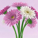 ���� �������, ������� - ��������� 28 ���� 2016 � ������ ���� ����������