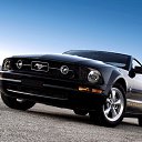 ���� Aleksandr, ������ ��������, 44 ���� - ��������� 10 ���� 2016