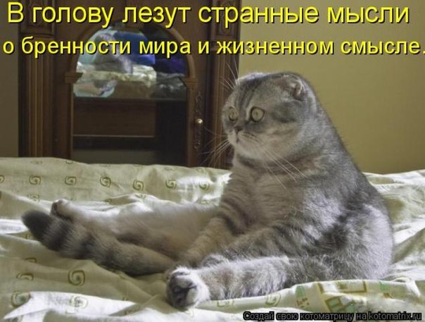  - 27  2016  17:51