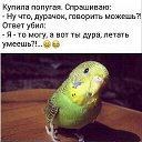  ,  -  7  2016    