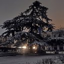 ���� ������, �����������, 67 ��� - ��������� 11 ��� 2016 � ������ ������������-4�