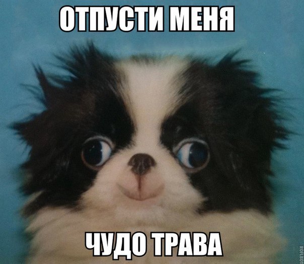    :D - 16  2016  06:08