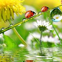  Natali, , 53  -  3  2016    