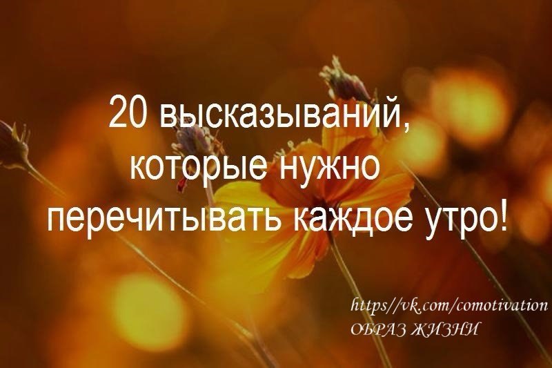 20 высказываний. 20 Высказываний, которые нужно перечитывать каждое утро!. Цитаты великих про утро. Мудрость жизни с добрым утром. Умные цитаты для начала дня.