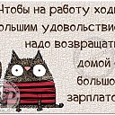  ,  -  19  2016    