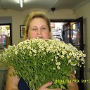 ���� ����������, �����-��������� - ��������� 20 ������ 2016 � ������ ���� ����������