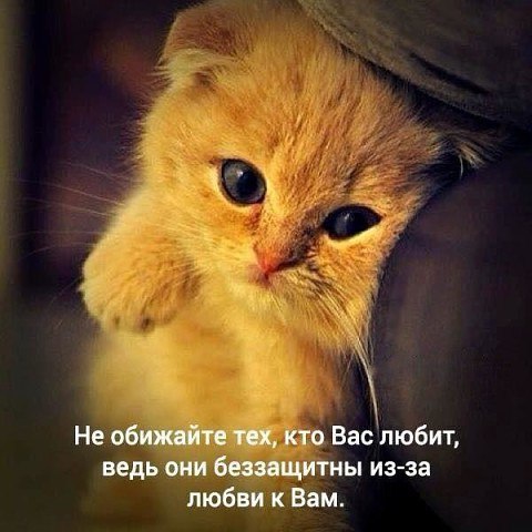 .https://fotostrana.ru/away?to=/sl/kxC2 - 12  2016  18:15