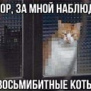 ���� �������, ������� - ��������� 9 ���� 2016 � ������ ���������