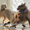  ,  , 63  -  12  2016    