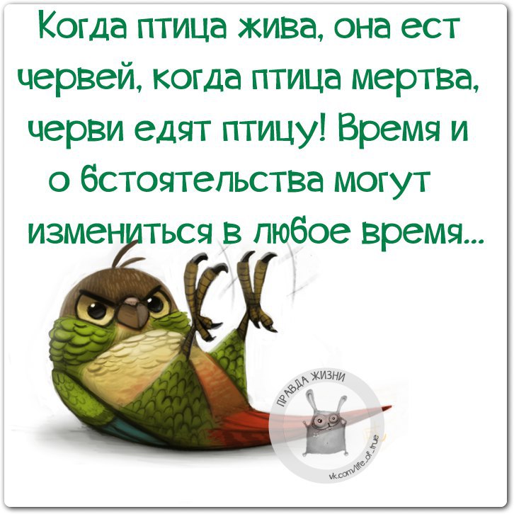   - 16  2016  16:42