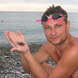 ����, ���������, 55 ���