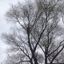 ���� ���������, ���������, 34 ���� - ��������� 29 ������ 2016 � ������ ������ ��������