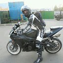 ���� ������y, ��������, 41 ��� - ��������� 23 ���� 2016 � ������ ���� ����������