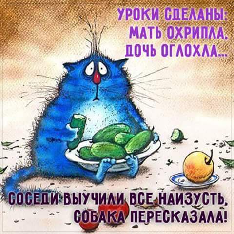   ,   .© - 1  2016  11:34