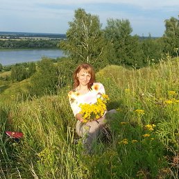 ���� �����, ������, 54 ���� - ��������� 16 ���� 2016