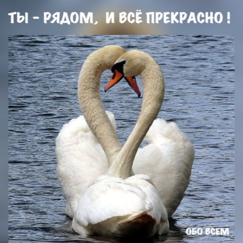 В день рождения Гизара ! Ты - рядом, и все прекрасно: И дождь, и холодный ветер. Спасибо тебе, мой ...