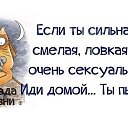  , , 51  -  16  2016    