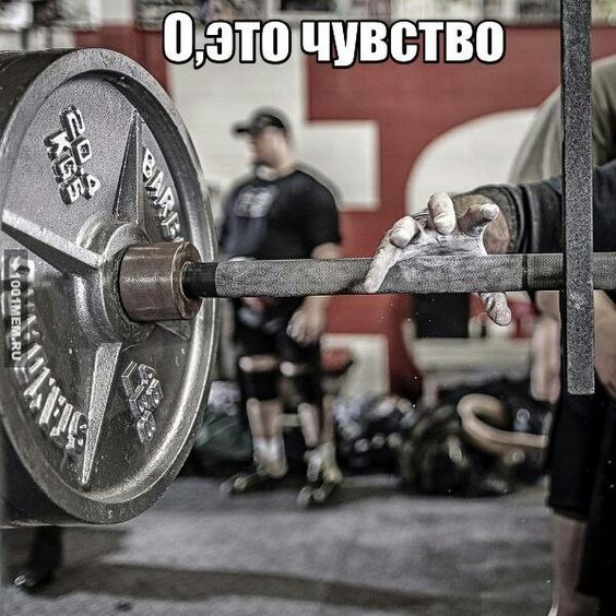  -   - 15  2016  17:35