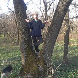 �������, ��������