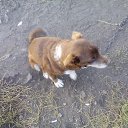 ���� �����, ������, 37 ��� - ��������� 6 ������� 2016 � ������ ������ ��������