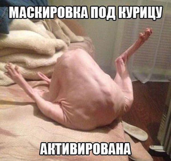 ... - 28  2016  15:09