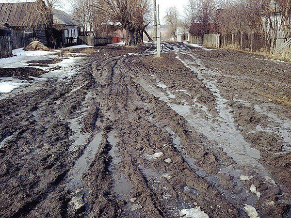 Хватит сидеть дома, говорили они.... На улице весна — самое прекрасное время года, говорили они.... ...