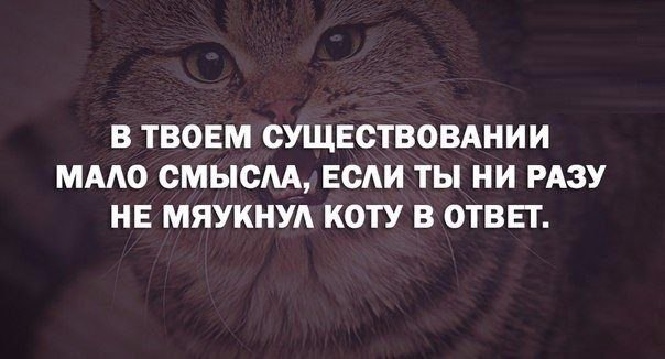  - 12  2016  15:52