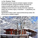 ���� Alexey, ������ - ��������� 22 ���� 2016 � ������ ���� ����������