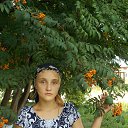  , , 52  -  1  2016   ,     