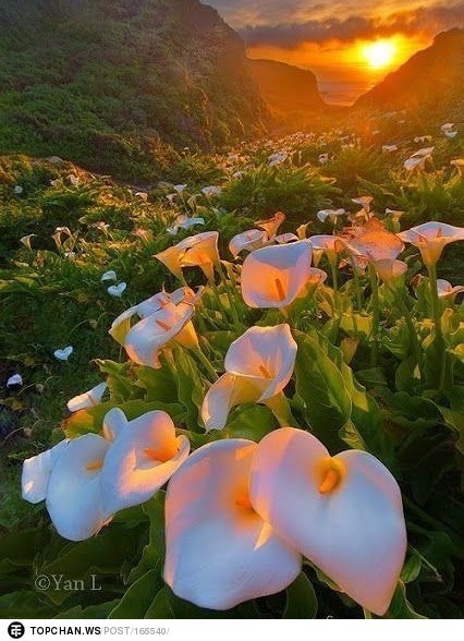 ��, ��� ���������� � ����� �����, �������� ���������� ����-��, ��� ���������� ������ ����.