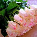 ���� ������, ����, 54 ���� - ��������� 7 ������ 2016 � ������ �������� ��������