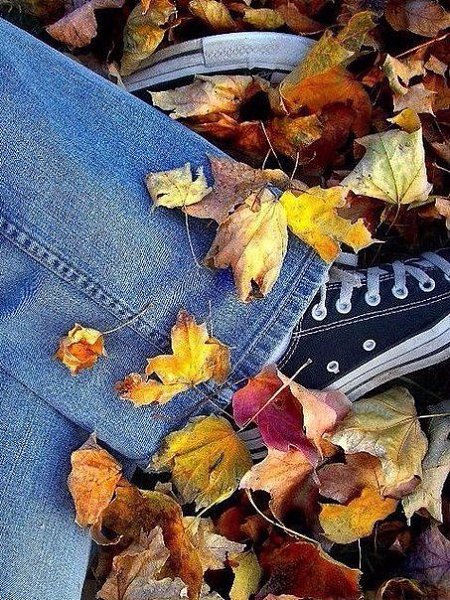 И нет никакой разницы, лето сейчас или осень. Важно, что есть близкие люди, которые согревают: ...