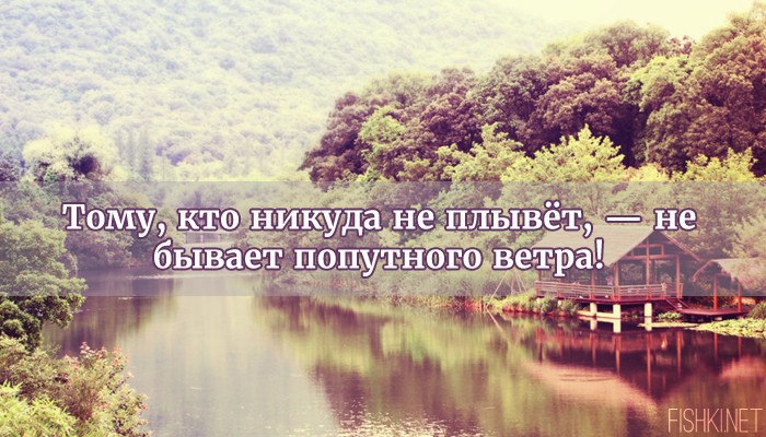, ,  - 6  2016  02:43