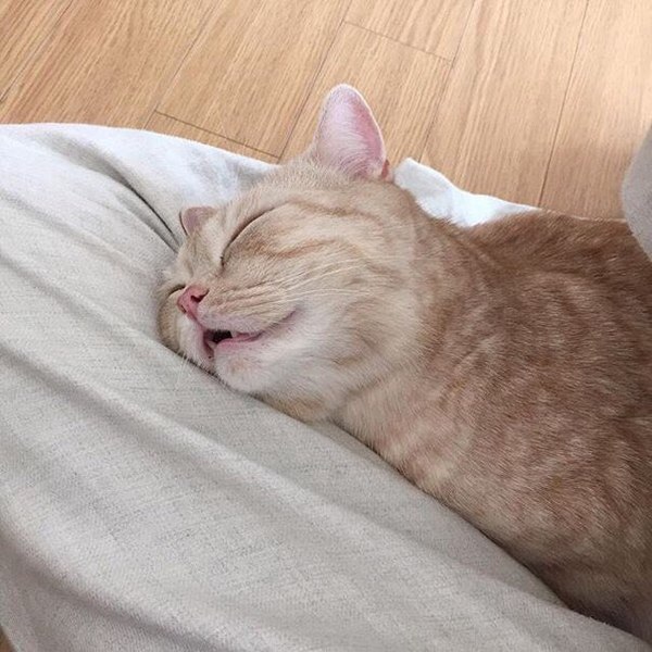   :