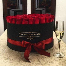 &euro;???&euro;, �������, 42 ����