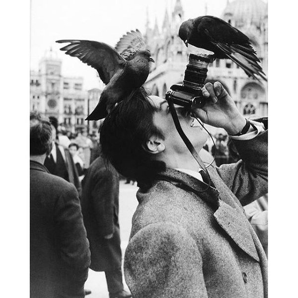 Alain Delon. Piazza San Marco. Venezia. 1962.