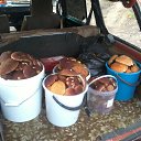 ���� Anatolii, ����������, 63 ���� - ��������� 27 ���� 2016 � ������ ���� ����������