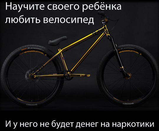    - 2  2016  11:58