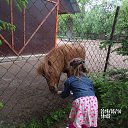 ���� Sveta, ������� - ��������� 23 ��� 2016 � ������ ���������
