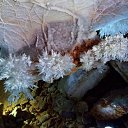 ���� Eric, ����, 61 ��� - ��������� 29 ������ 2016 � ������ �The beauties in the belly of the earth�