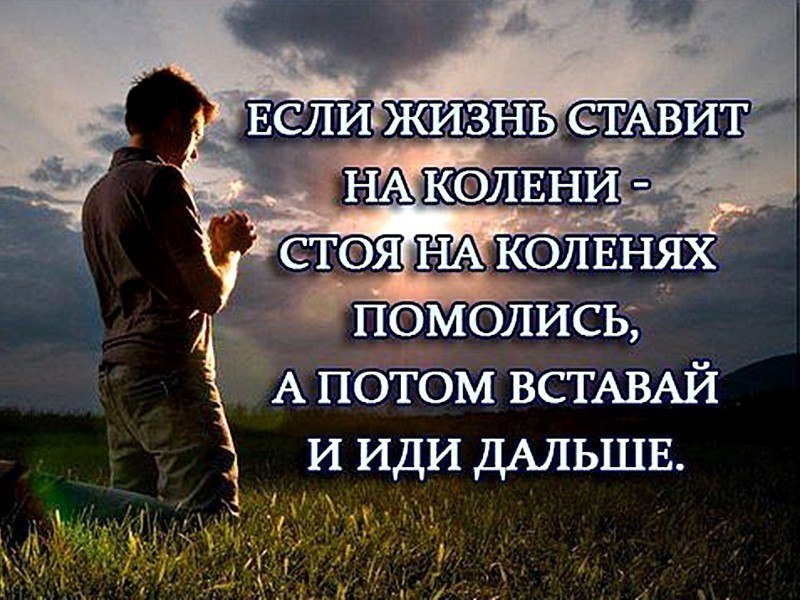 ***Victoria Viktorovna*** - 19  2016  01:12