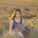 ���� ������, ����������� - ��������� 28 ���� 2016 � ������ ���� ����������