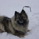 ���� ������, �����, 52 ���� - ��������� 31 ������� 2016 � ������ ���� ����������