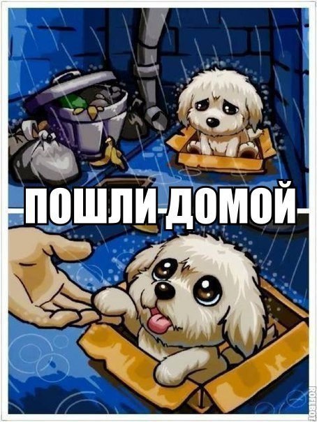    :D - 5  2016  07:11