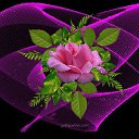 ���� Love, ������� - ��������� 29 ����� 2016 � ������ ���� ����������