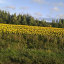 ���� �����, ������������, 67 ��� - ��������� 23 ����� 2016 � ������ ���� ����������